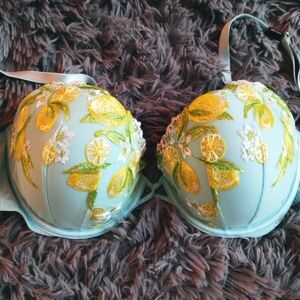 VS Dream Angels Demi NWT